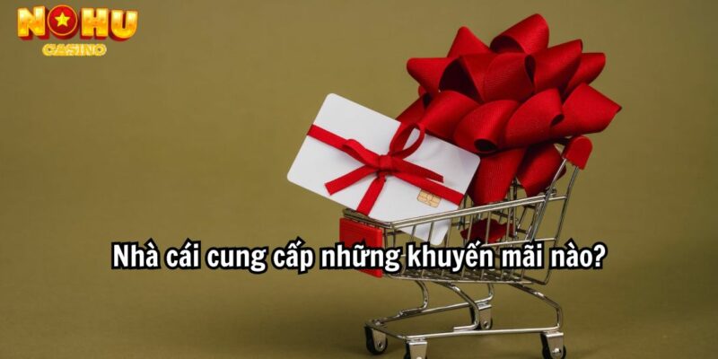 Nhà cái cung cấp những khuyến mãi nào?